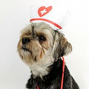 best kennel flooring