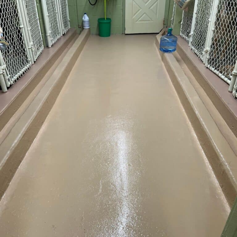 kennel floor  epoxy floors nj dog pen flooring