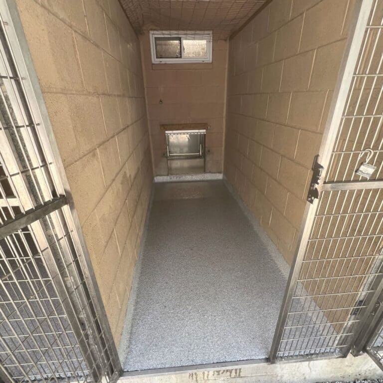 kennel flooring  epoxy floors nj Kennel Flooring