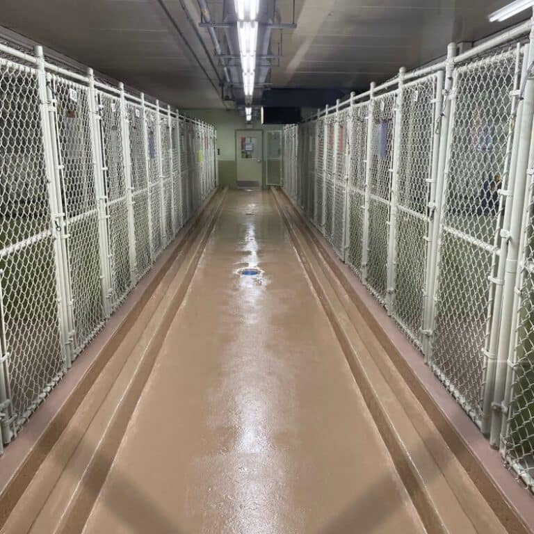 best kennel flooring  epoxy floors nj best kennel flooring