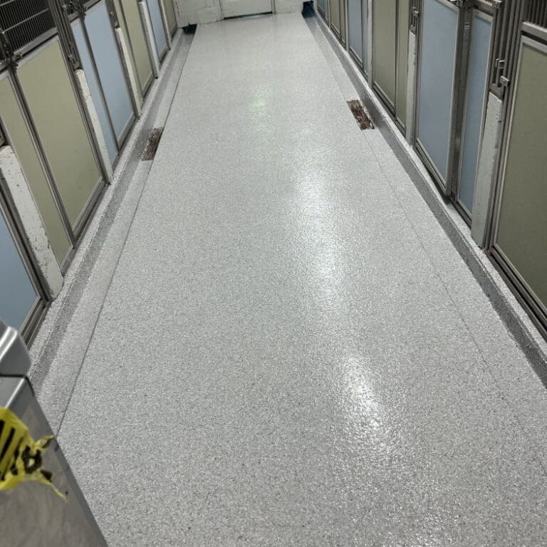 outdoor kennel flooring  epoxy floors nj outdoor kennel flooring