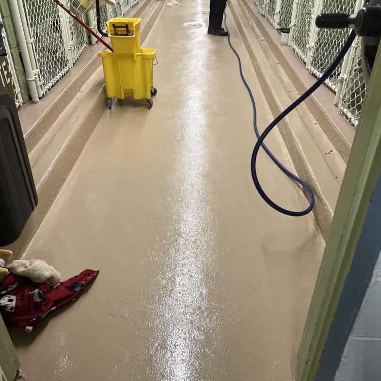best dog kennel floors