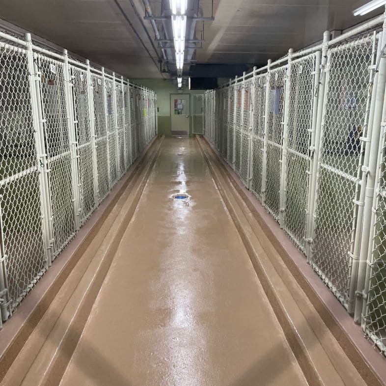 best kennel flooring